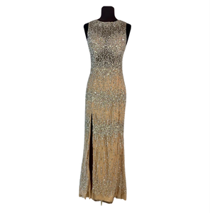 TERANI Long Jeweled Gown Blush Size 2