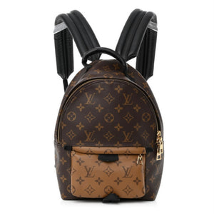 LOUIS VUITTON Reverse Monogram Palm Springs Backpack