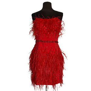 ASHLEY LAUREN Short Cocktail Dress Red Size 6