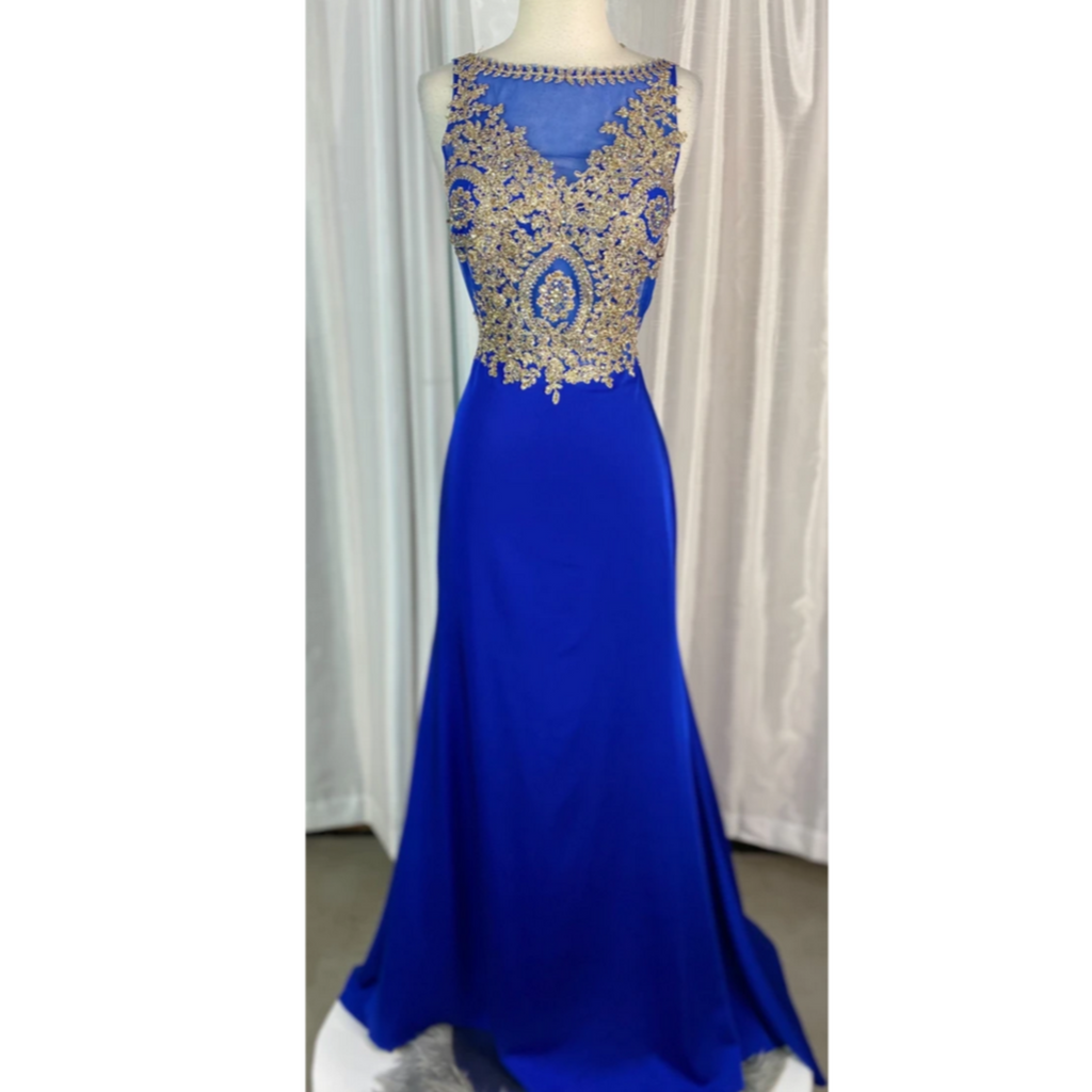 ENVIOUS Sheer Lace Embellished Sleeveless High Neckline Long Dress Size 10