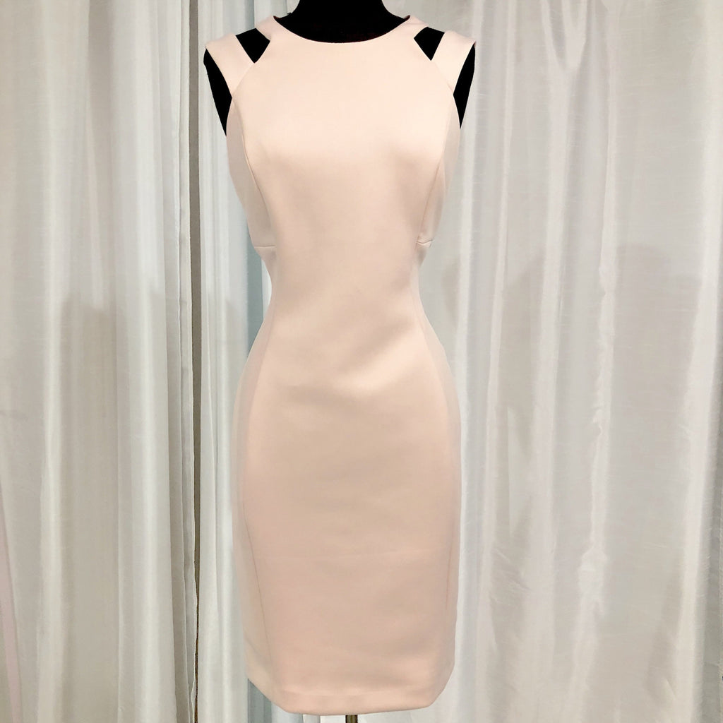 Blush calvin klein dress online