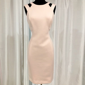 CALVIN KLEIN Blush Form Fitting Short Dress Size 8