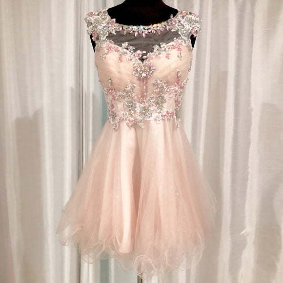 ALYCE PARIS Light Pink Embellished Lace Tulle Short Dress Size 0
